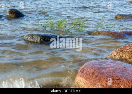 Étendue rocheuse de la côte, mer Baltique de grandes pierres sont dispersées dans l'eau et le long du rivage, créant un paysage rugueux mais naturel. Dans le foregro Banque D'Images
