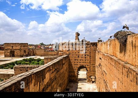 161/la cigogne niche dans les ruines du Palais el-Badi Banque D'Images