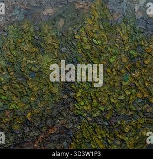 L'image est un gros plan d'une peinture à l'huile impasto très texturée Banque D'Images