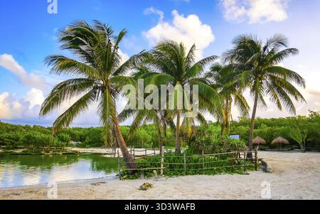 Lever de soleil à la petite belle grotte Cenote avec rivière et eau bleu turquoise à la plage Punta Esmeralda à Playa del Carmen Quintana Roo Mexique Banque D'Images