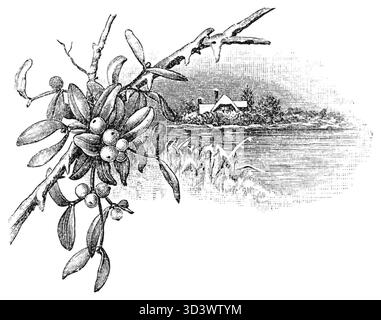 Une illustration de 1898 tirée de Suma na Kocimbrodzie de Klemens Junosza, représentant une scène complexe qui illustre l'œuvre d'art détaillée de l'époque. Banque D'Images