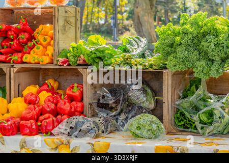 Gros plan sur divers légumes et produits frais exposés dans un supermarché agricole en plein air. Banque D'Images