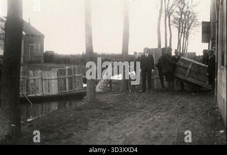 Cette photo de 1922 montre la pépinière Van der vis and Co. à Boskoop, aux pays-Bas. La société est spécialisée dans la culture de plantes et de fleurs pour les marchés nationaux et internationaux. L'image représente le chargement des plantes destinées à l'exportation vers la Norvège. Banque D'Images