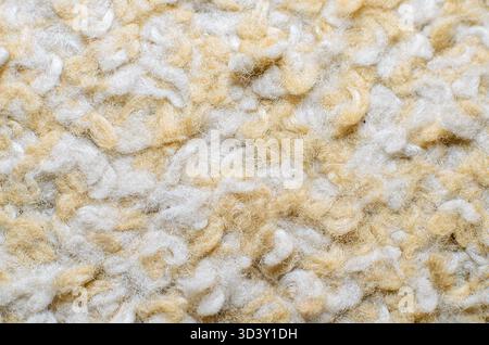 Cette photo détaillée révèle le tissage complexe et les variations de couleurs d'un tapis doux et invitant Banque D'Images