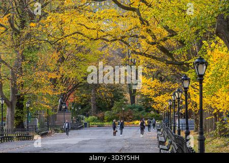 Les gens marchent le long du Mall à Central Park alors que les arbres prennent de la couleur le 7 novembre 2025 à New York. Banque D'Images