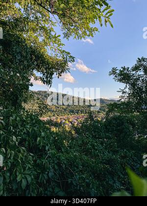 Le feuillage vert luxuriant crée un cadre naturel autour d'un paysage pittoresque avec des collines ondulantes sous un ciel bleu vif orné de cl blanc moelleux Banque D'Images