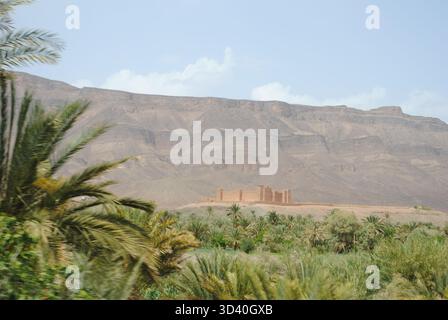 Palmiers dans une oasis de verdure dans le désert paysage aride entre Agdz et Zagora villes dans les montagnes de l'Atlas, Maroc, Afrique du Nord Banque D'Images