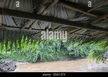 Vue paisible depuis la cabane rustique au toit de chaume surplombant la rivière boueuse dans la jungle tropicale tranquille. la scène naturelle dans la forêt tropicale évoque un sentiment de sérénité Banque D'Images