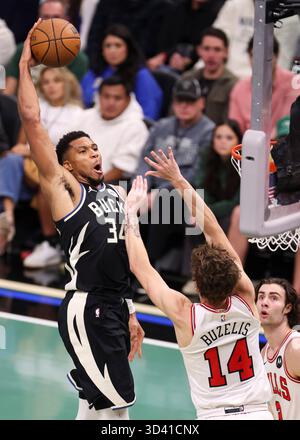 Milwaukee, États-Unis. 7 novembre 2025. Giannis Antetokounmpo (l) des Milwaukee Bucks dunk lors du match de saison régulière 2025-2026 entre les Milwaukee Bucks et les Chicago Bulls à Milwaukee, aux États-Unis, le 7 novembre 2025. Crédit : Joel Lerner/Xinhua/Alamy Live News Banque D'Images