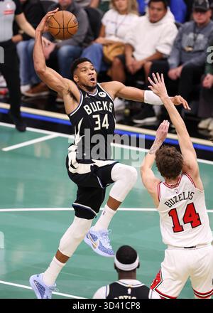 Milwaukee, États-Unis. 7 novembre 2025. Giannis Antetokounmpo (l) des Milwaukee Bucks dunk lors du match de saison régulière 2025-2026 entre les Milwaukee Bucks et les Chicago Bulls à Milwaukee, aux États-Unis, le 7 novembre 2025. Crédit : Joel Lerner/Xinhua/Alamy Live News Banque D'Images