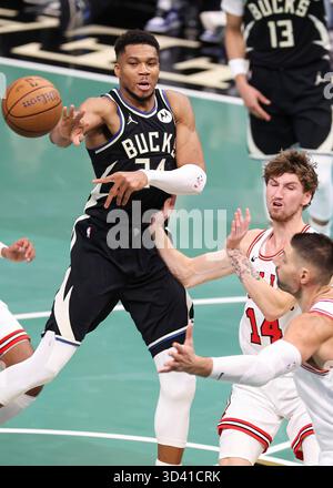 Milwaukee, États-Unis. 7 novembre 2025. Giannis Antetokounmpo (l) des Milwaukee Bucks passe la balle lors du match de saison régulière 2025-2026 entre les Milwaukee Bucks et les Chicago Bulls à Milwaukee, aux États-Unis, le 7 novembre 2025. Crédit : Joel Lerner/Xinhua/Alamy Live News Banque D'Images