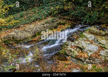 Un petit ruisseau coule sur des rochers entourés de feuilles d'automne. Banque D'Images