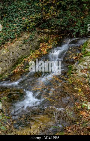 Un petit ruisseau coule sur des rochers entourés de feuilles d'automne. Banque D'Images