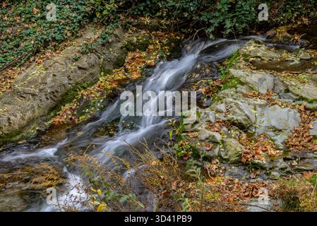 Un petit ruisseau coule sur des rochers entourés de feuilles d'automne. Banque D'Images