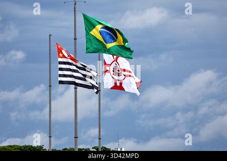 Sao Paulo, Brésil. 08 novembre 2025. Atmosphère du circuit - drapeau du Brésil. 08.11.2025. Championnat du monde de formule 1, Rd 21, Grand Prix du Brésil, Sao Paulo, Brésil, sprint et journée de qualification. Crédit : James Moy/Alamy Live News Banque D'Images