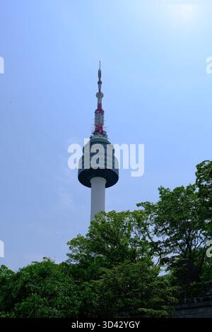 N Seoul Tower s'élevant au-dessus d'arbres verdoyants par une claire journée d'été à Séoul, Corée du Sud. Banque D'Images