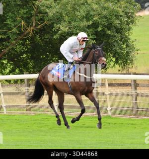 W Buick gagnant Sky Bet Ebor handicap York 23 août 2025 Ethical Diamond Banque D'Images