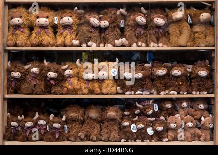 Jouets en peluche Highland vache dans une vitrine du Grassmarket, Édimbourg, Écosse, Royaume-Uni. Banque D'Images