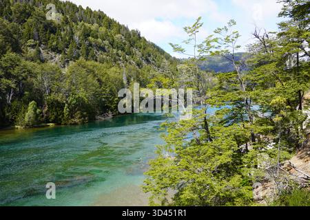 Los Alerces National Park - Lacs, arbres, montagnes disposés dans de beaux paysages. Banque D'Images