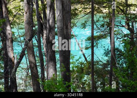 Los Alerces National Park - Lacs, arbres, montagnes disposés dans de beaux paysages. Banque D'Images
