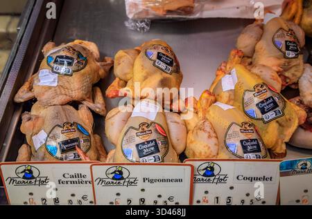 Nice, France - 14 mai 2024 : jeunes poulets jaunes crus entiers, squab ou pigeon et cailles élevées dans une boucherie typique de la vieille ville Banque D'Images