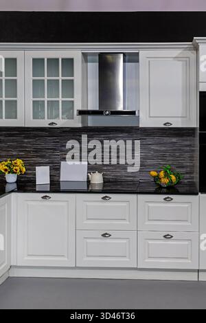 Intérieur de cuisine avec armoires rétro en bois blanc et appareils modernes Banque D'Images