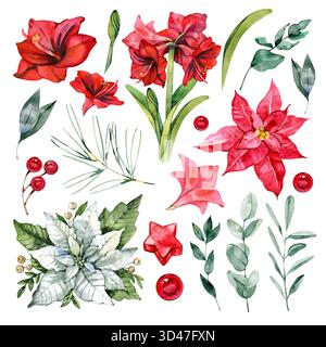 Aquarelle avec fleurs de Noël amaryllis et poinsettia, eucalyptus vert, branches de pin et baies rouges. Parfait pour les cartes de fête Banque D'Images