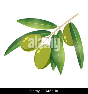 Branche d'arbre vert olive avec des baies Illustration de Vecteur