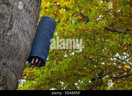 Maison de chauve-souris installée sur l'arbre pour soutenir la faune locale Banque D'Images