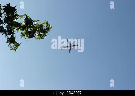 Avion survolant Londres par temps clair avec des feuilles vertes au premier plan Banque D'Images