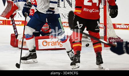 Landshut, Allemagne. 09 novembre 2025. Hockey sur glace : Coupe d'Allemagne, Allemagne - Slovaquie, phase de groupes, jour de match 3. Le palet franchit la ligne de but pour faire de 3 :0 pour l'Allemagne. Crédit : Markus Lenhardt/dpa/Alamy Live News Banque D'Images