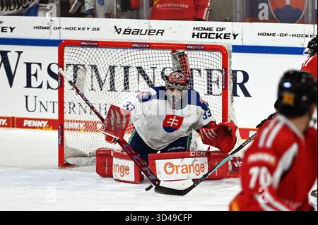 Landshut, Allemagne. 09 novembre 2025. Hockey sur glace : Coupe d'Allemagne, Allemagne - Slovaquie, phase de groupes, jour de match 3. Le gardien de but Stanislav Skorvanek (Slovaquie) en action. Crédit : Markus Lenhardt/dpa/Alamy Live News Banque D'Images