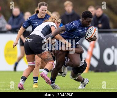 Bristol, Royaume-Uni. 9 novembre 2025. Bristol Bears Women's Simi PAM court avec balle pendant le match PWR à Shaftesbury Park , Bristol Bristol Bears Women v Saracens Women PWR Shaftesbury Park Bristol photo de Martin Edwards/Alamy Live News Sunday9,November,2025Shaftesbury Park,Copyright Martin Edwards tous droits réservés. Image protégée par les lois internationales sur les droits d'auteur crédit : Martin Edwards/Alamy Live News Banque D'Images
