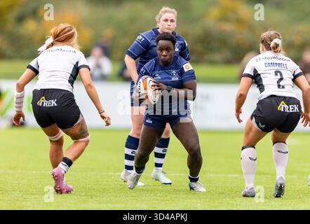 Bristol, Royaume-Uni. 9 novembre 2025. Bristol Bears Women's Simi PAM court avec le ballon pendant le match PWR à Shaftesbury Park , Bristol Bristol Bears Women v Saracens Women PWR Shaftesbury Park Bristol photo de Martin Edwards/Alamy Live News Sunday9,November,2025Shaftesbury Park,Copyright Martin Edwards tous droits réservés. Image protégée par les lois internationales sur les droits d'auteur crédit : Martin Edwards/Alamy Live News Banque D'Images