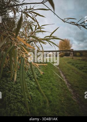 Une série de photographies saisissantes et moroses capturant l'architecture imposante d'un viaduc ferroviaire historique au-dessus de la rivière Trent à Burton upon Trent Banque D'Images