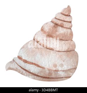 Illustration aquarelle de coquillage beige. Élément marin dessiné à la main isolé sur fond blanc. Parfait pour le design nautique, la décoration d'été et les impressions sur le thème de la plage Banque D'Images