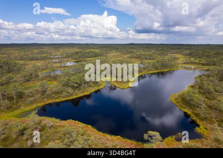 Un paysage de tourbières en Estonie Banque D'Images