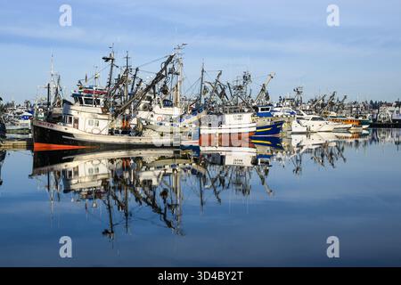 Seattle, WA, États-Unis - 9 novembre 2025 ; bateaux de pêche commerciale amarrés au terminal des pêcheurs réfléchissant sur l'eau calme Banque D'Images