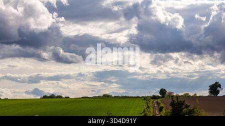 Des champs verdoyants s'étendent à travers le paysage parsemé d'arbres sous un ciel rempli de nuages dynamiques pendant la lumière de la fin de l'après-midi. Banque D'Images