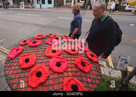 8 novembre 2025. Une décoration de topper tricoté sur une boîte aux lettres Royal mail le jour du souvenir, Wimbledon Banque D'Images