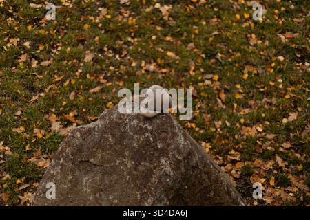 Pierres équilibrées empilées sur un grand rocher, symbolisant l'harmonie et la stabilité dans la nature. Photo de haute qualité Banque D'Images