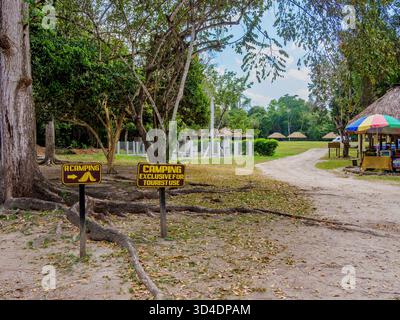 Camping à Tikal, Peten Department, Guatemala Banque D'Images