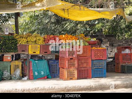 SAWAI MADHOPUR, RAJASTHAN, INDE - 1 FÉVRIER 2024 vendeur traditionnel de fruits et légumes Banque D'Images