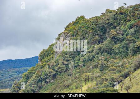 Belle vue sur la verdure luxuriante et le terrain montagneux à Purace, Cauca, Colombie. Idéal pour la photographie de nature et de voyage. Banque D'Images