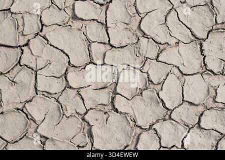 Vue rapprochée de la terre fissurée sèche montrant des motifs naturels complexes et des textures formés par des conditions de sécheresse sévère. Banque D'Images