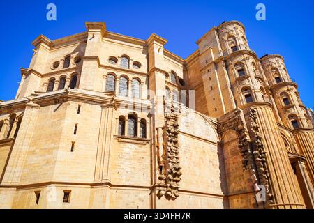 Vue rapprochée de la cathédrale de Malaga. La cathédrale de Malaga est une église catholique romaine dans la ville de Malaga, dans la communauté andalouse en Espagne. Banque D'Images