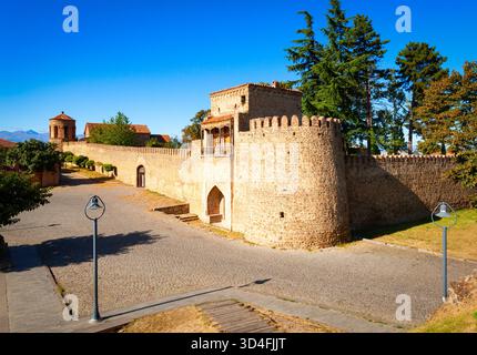 La vieille ville de Telavi. Telavi est la principale ville de la province de Kakheti en Géorgie. Banque D'Images