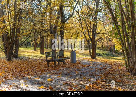 Bosquet tranquille à la fin de l'automne. Des arbres dorés bordent un paisible bosquet de bancs vides. La faible lumière du soleil peint des tons chauds sur les feuilles mortes. Banque D'Images