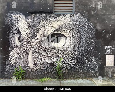 Peinture murale Street art avec la tête d'un hibou aigle, Buenos Aires, Argentine Banque D'Images