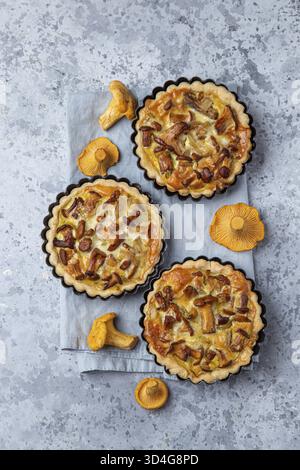 Nourriture, tartes salées avec des champignons chanterelles sur fond de béton gris, vue de dessus Banque D'Images